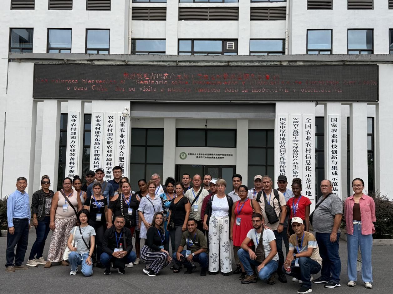 国产成人精品白浆久久69