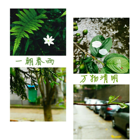 国产成人精品白浆久久69