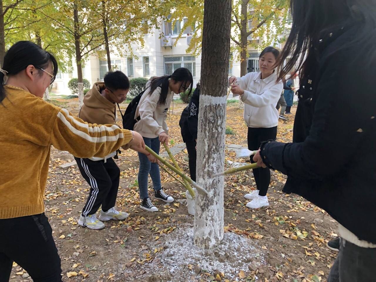 国产成人精品白浆久久69