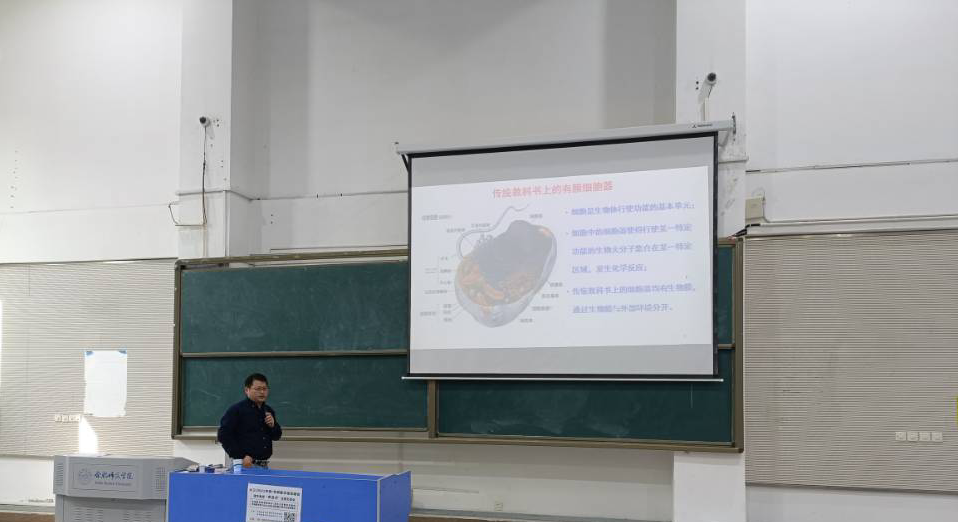 国产成人精品白浆久久69
