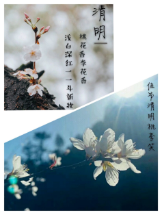 国产成人精品白浆久久69