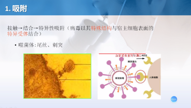 国产成人精品白浆久久69